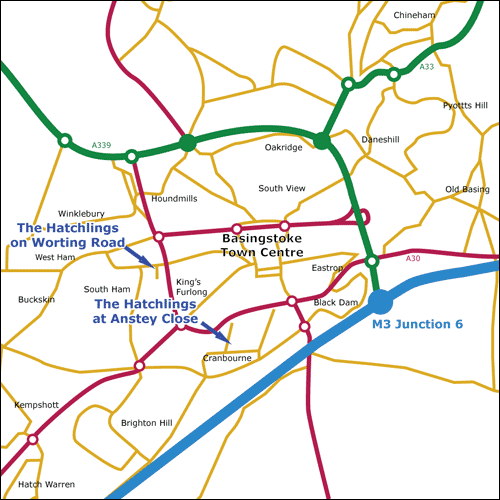 Basingstoke map